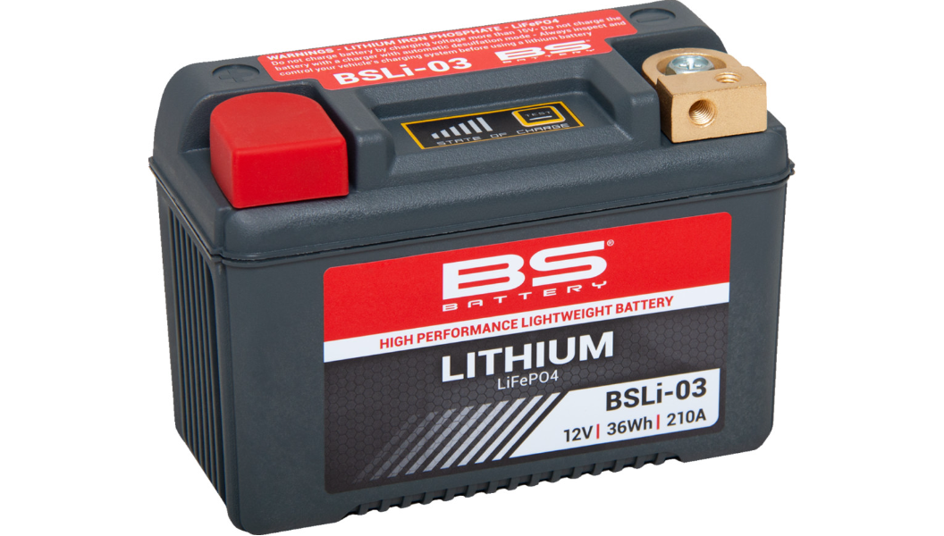 BS BATTERY BSLi-03 Lithium LiFePO4 Battery