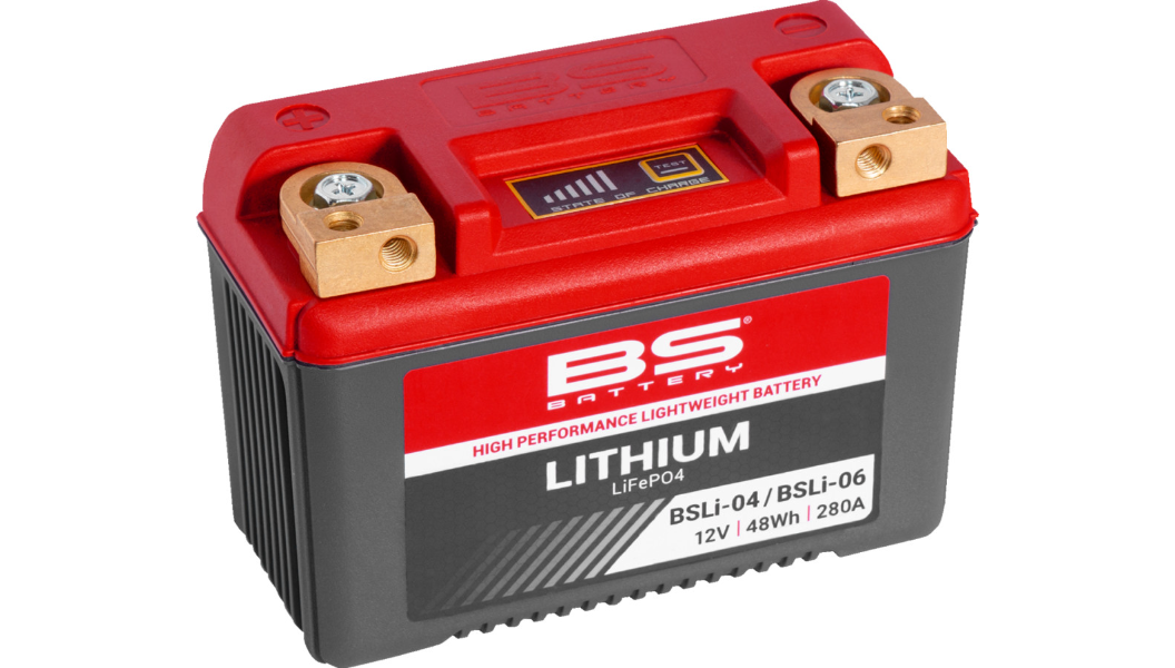 BS BATTERY BSLi-04/06 Lithium LiFePO4 Battery